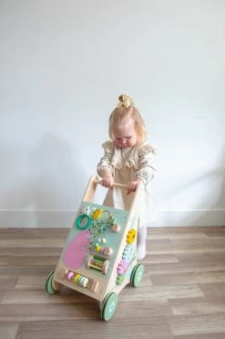 Label Label Barbapapa Houten Activiteiten Loopwagen LLBB-35830 -Mini Wereld Verkoop llbb 35830 barbapapa wooden activity walker 01