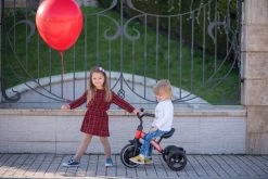 Lorelli Dallas Red Driewieler 1005050-004 -Mini Wereld Verkoop lorelli dallas driewieler 10