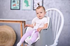 Lorelli Trick Pink Bears 3-in-1 Kinderstoel 1010049-2133 -Mini Wereld Verkoop lorelli trick grey candy 3 in 1 kinderstoel 1010049 2137.6 1920x1920 2